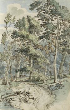 Forest path, 1783. Creator: Johannes Huibert Prins