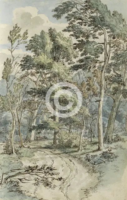 Forest path, 1783. Creator: Johannes Huibert Prins.