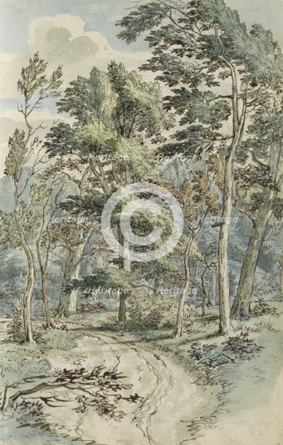 Forest path, 1783. Creator: Johannes Huibert Prins.