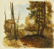 Forest path, 1850-1900. Creator: Jan Nowopacký