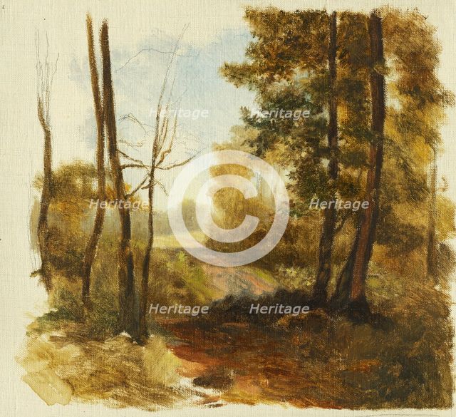 Forest path, 1850-1900. Creator: Jan Nowopacký.