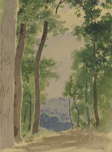Forest path, 1854. Creator: Carl Theodor Reiffenstein