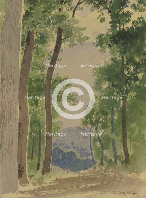 Forest path, 1854. Creator: Carl Theodor Reiffenstein.