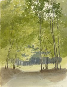 Forest path, 1863. Creator: Carl Theodor Reiffenstein