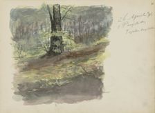Forest path, 1896. Creator: Christiaan Huidekoper