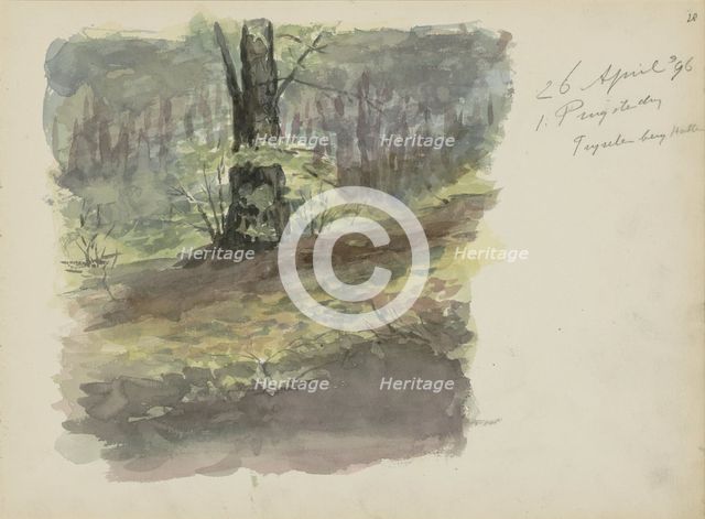 Forest path, 1896. Creator: Christiaan Huidekoper.