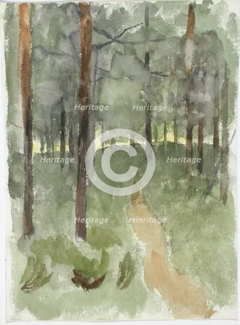 Forest path. Creator: Maria Wiik.