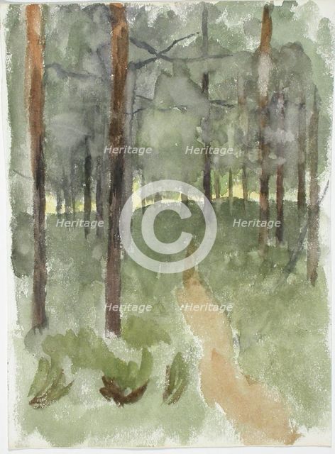 Forest path. Creator: Maria Wiik.