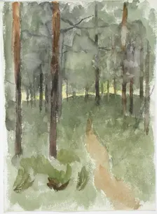 Forest path. Creator: Maria Wiik