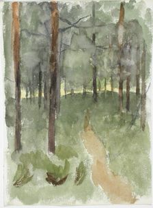 Forest path. Creator: Maria Wiik