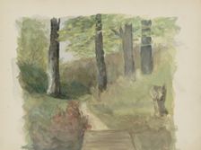 Forest path, c.1895-c.1896. Creator: Christiaan Huidekoper