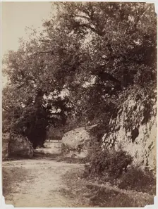 Forest Path, c1853. Creator: Eugène Cuvelier