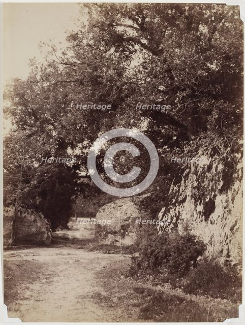 Forest Path, c1853. Creator: Eugène Cuvelier.