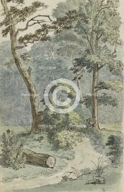 Forest path in a landscape, 1783.  Creator: Johannes Huibert Prins.