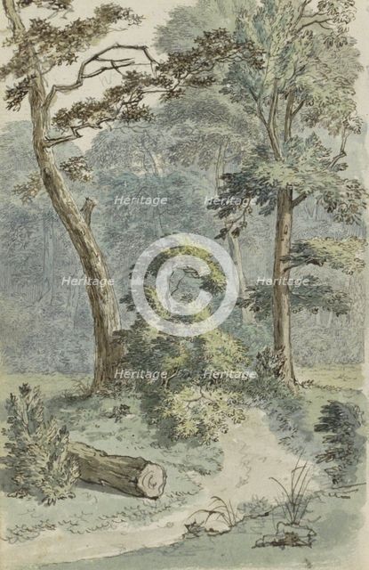 Forest path in a landscape, 1783.  Creator: Johannes Huibert Prins.