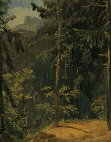 Forest path in the Harz, 1833. Creator: Karl Blechen