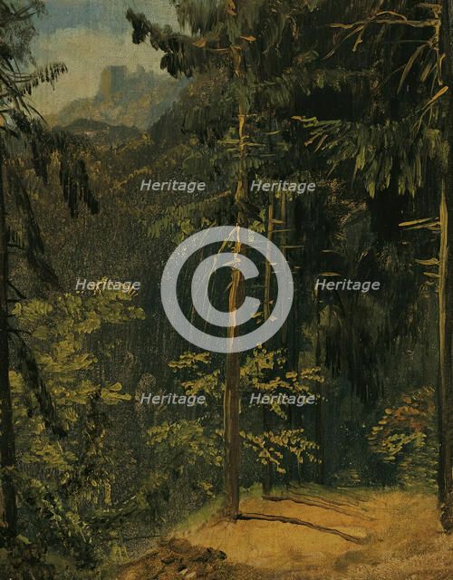 Forest path in the Harz, 1833. Creator: Karl Blechen.