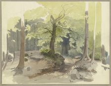 Forest path in the Ilse Valley in the Harz Mountains, c1844. Creator: Carl Theodor Reiffenstein