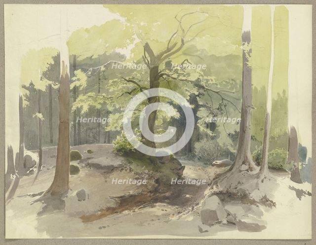 Forest path in the Ilse Valley in the Harz Mountains, c1844. Creator: Carl Theodor Reiffenstein.