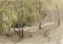Forest path near Falkenstein, 1877. Creator: Carl Theodor Reiffenstein