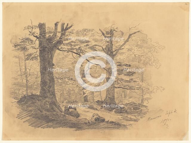 Forest, Ramsau, Germany, 1871. Creator: John Singer Sargent.