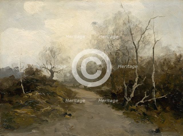 Forest road, 1880-1900. Creator: Felicián Moczik.