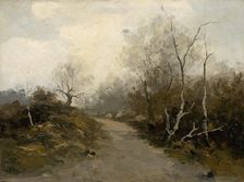 Forest road, 1880-1900. Creator: Felicián Moczik