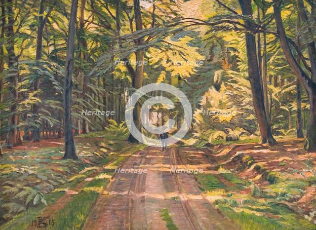 Forest road near Dyrnæs, 1915. Creator: Poul S. Christiansen.