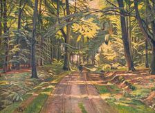Forest road near Dyrnæs, 1915. Creator: Poul S. Christiansen