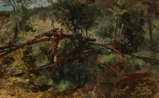 Forest road with fence, c1870/1880. Creator: Johann Till