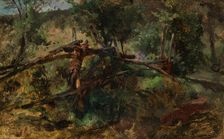 Forest road with fence, c1870/1880. Creator: Johann Till