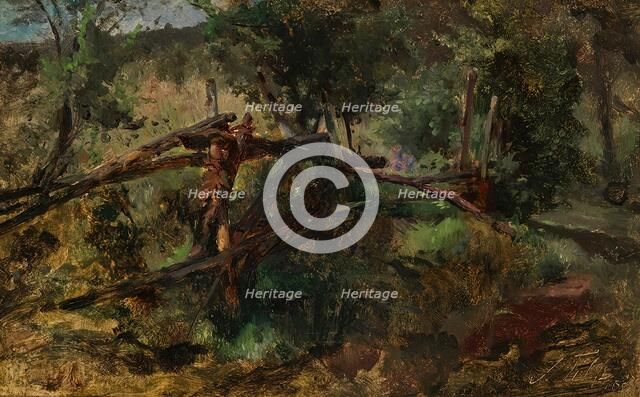 Forest road with fence, c1870/1880. Creator: Johann Till.