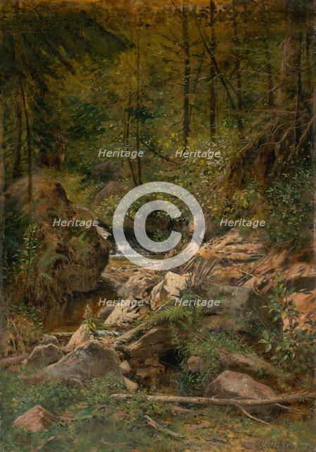 Forest stream, 1900. Creator: Eduard Majsch.