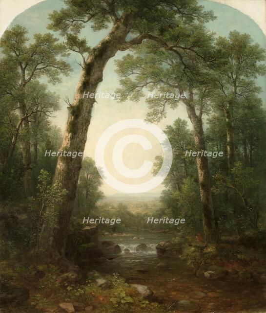 Forest Stream with Vista, 1872. Creator: Asher Brown Durand (American, 1796-1886).