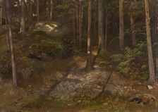 Forest Study, 1871. Creator: Adolph Tidemand