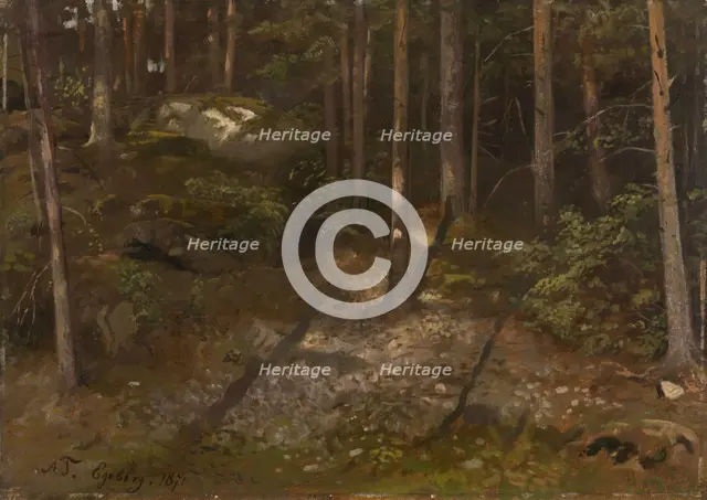 Forest Study, 1871. Creator: Adolph Tidemand.