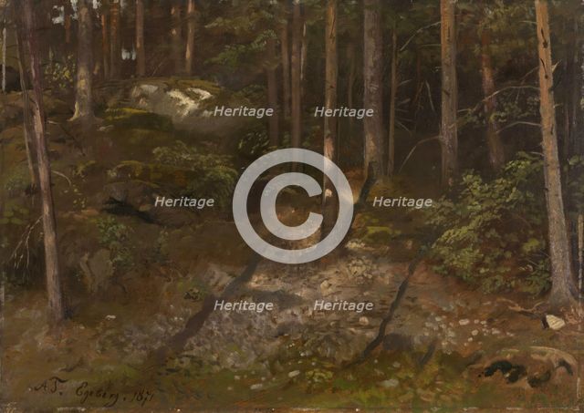 Forest Study, 1871. Creator: Adolph Tidemand.