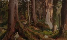 Forest, study, 1872. Creator: Fanny Churberg