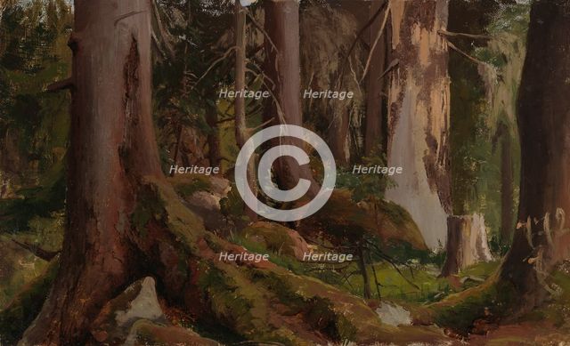 Forest, study, 1872. Creator: Fanny Churberg.