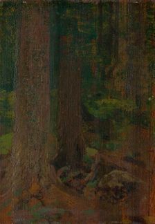 Forest study, 1890-1910. Creator: Ferdinand Katona