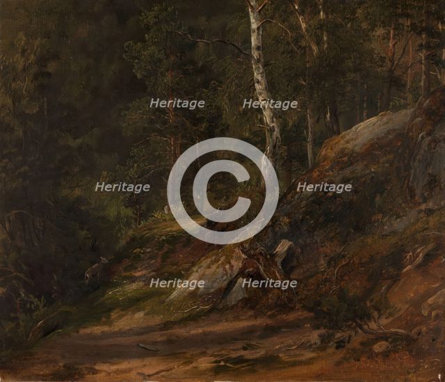 Forest Study from Romsdal, 1836. Creator: Thomas Fearnley.