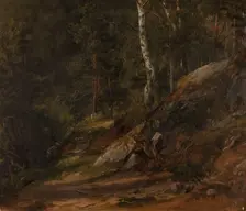 Forest Study from Romsdal, 1836. Creator: Thomas Fearnley