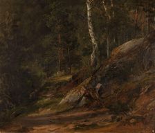 Forest Study from Romsdal, 1836. Creator: Thomas Fearnley