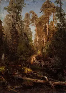 Forest Study, probably 1851. Creator: Herman August Cappelen