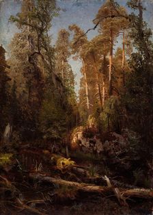 Forest Study, probably 1851. Creator: Herman August Cappelen