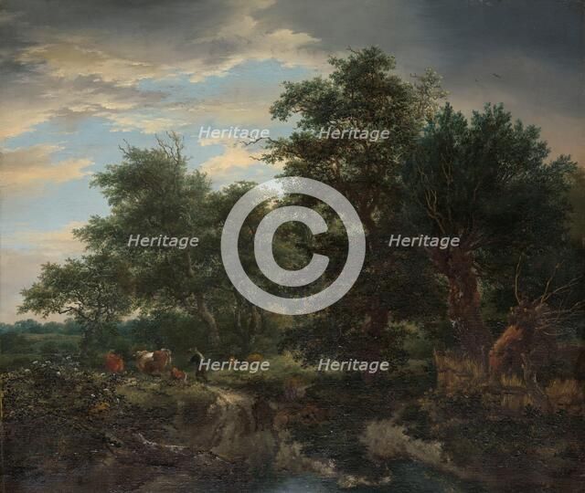 Forest scene, 1653. Creator: Jacob van Ruisdael.