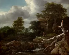 Forest Scene, c. 1655. Creator: Jacob van Ruisdael