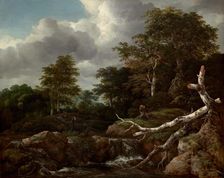 Forest Scene, c. 1655. Creator: Jacob van Ruisdael