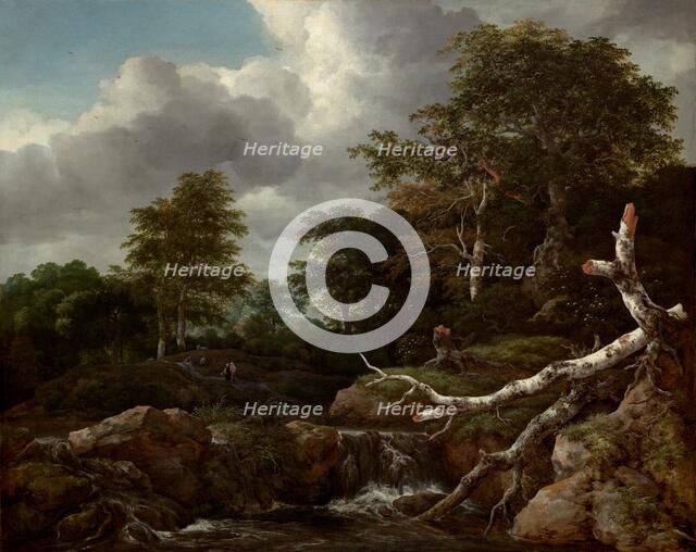 Forest Scene, c. 1655. Creator: Jacob van Ruisdael.
