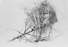 Forest Scene, . Creator: Johann Hermann Carmiencke